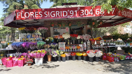 Flores Sigrid en San Blas-Canillejas