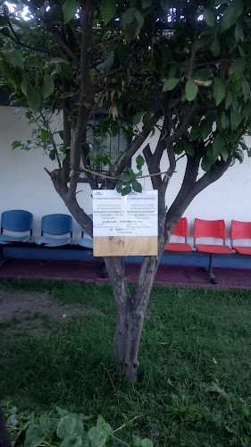 Veterinaria San Luis, Peñalolén - Peñalolén