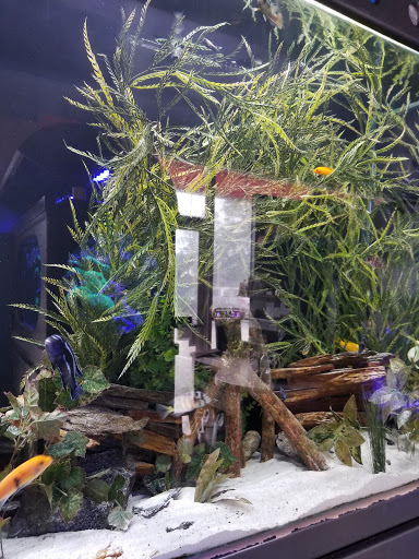 Pet Store «Tanks A Lot Aquariums», reviews and photos, 6680 Lantana Rd, Lake Worth, FL 33467, USA