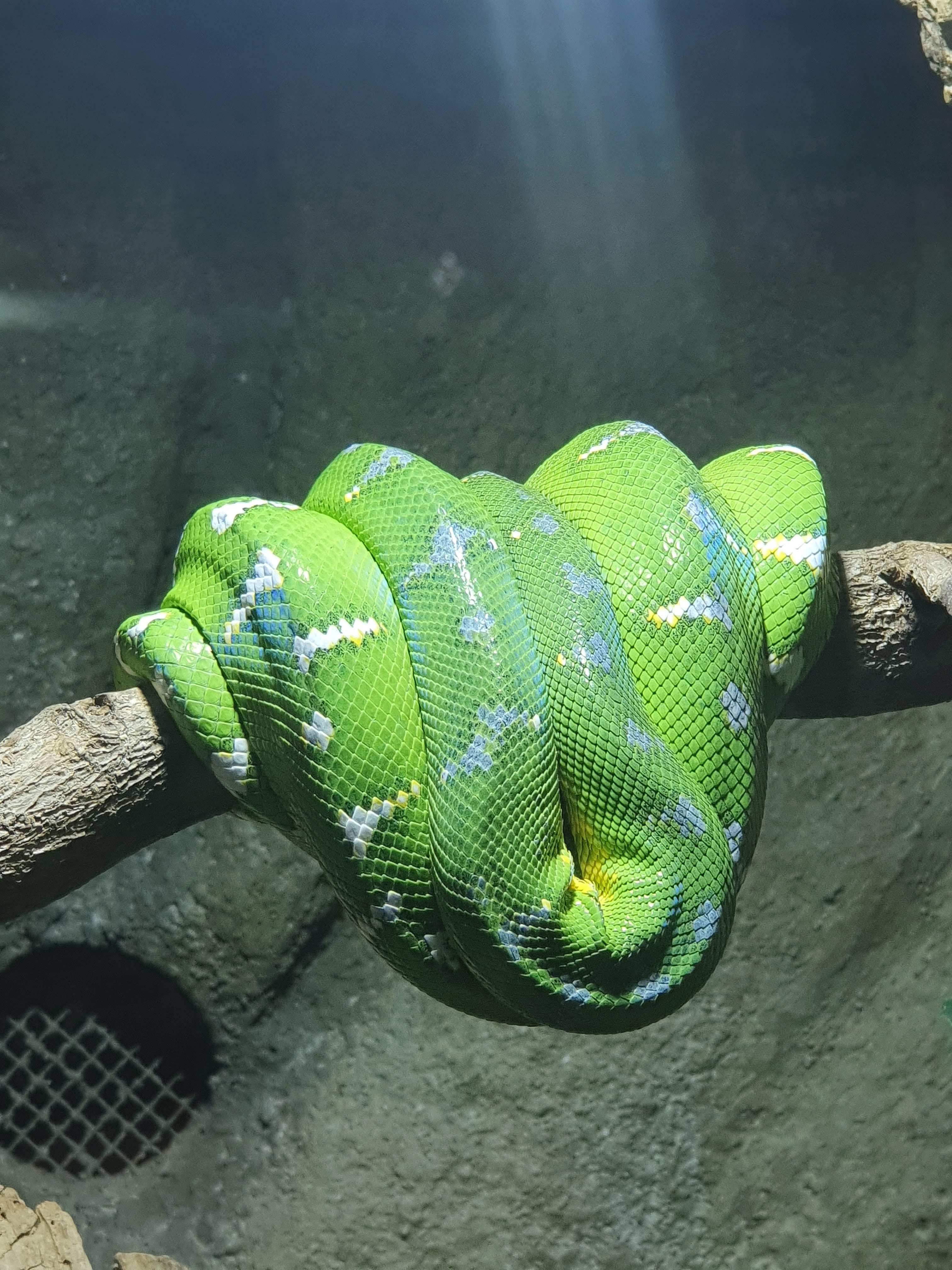 Photo n° 15 de l'avis de Alc. fait le 14/05/2022 à 10:09