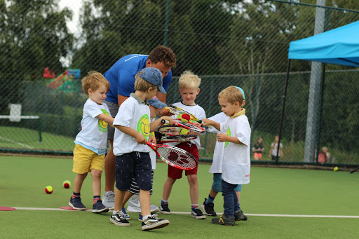 Teddy Tennis Kingston