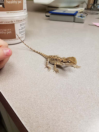 4680 Mahoning Ave, Warren, OH 44483, USA