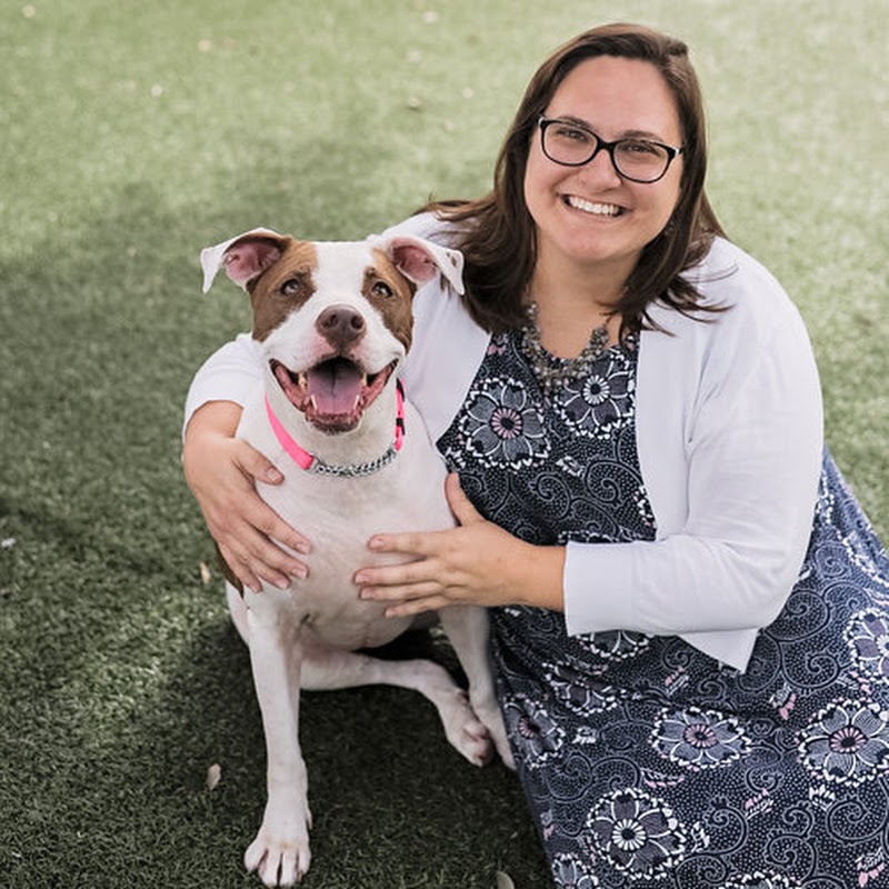 Humane Society Naples: Main Shelter