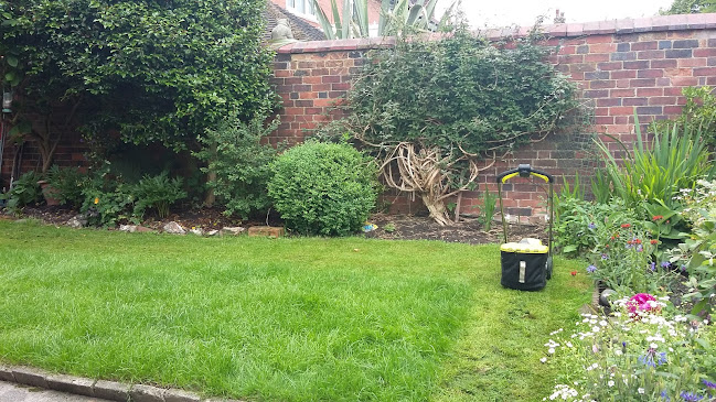 Reviews of Nicola's garden maintenance in Stoke-on-Trent - Landscaper