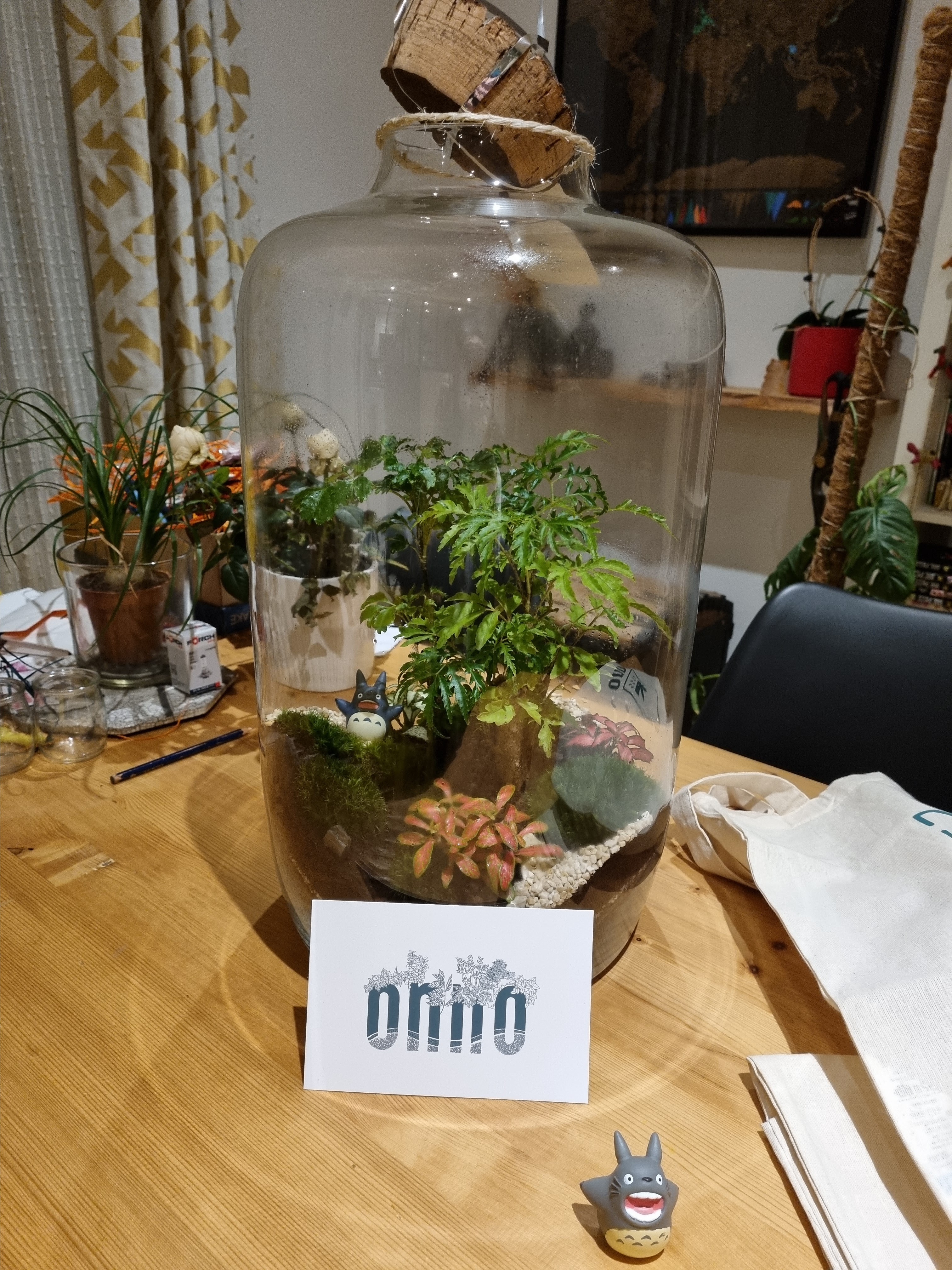 Photo n° 1 de l'avis de Mik. fait le 09/02/2022 à 22:15