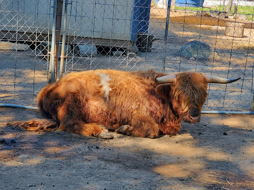 Animal Shelter «Animal Adventures Family Zoo & Rescue Center», reviews and photos, 336 Sugar Rd, Bolton, MA 01740, USA