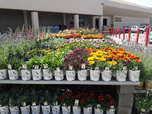 Home Improvement Store «The Home Depot», reviews and photos, 1055 W 21st St, San Bernardino, CA 92405, USA