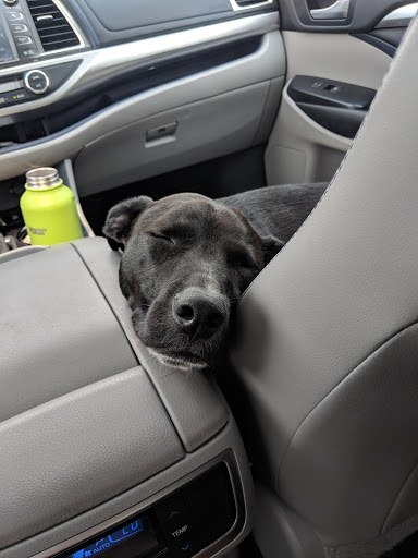 Pet Supply Store «Petco Animal Supplies», reviews and photos, 848 N Colony Rd c, Wallingford, CT 06492, USA