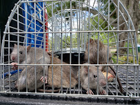 A Plus Animal Solutions - Photo 1 - Car repair in , Palm Bay