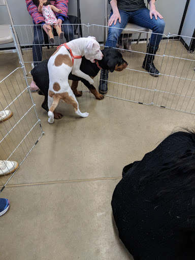 Pet Supply Store «Petco Animal Supplies», reviews and photos, 28400 Dequindre Rd, Warren, MI 48092, USA