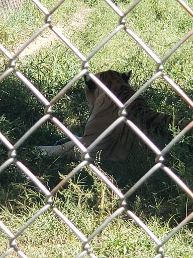 Zoo «Bailiwick Animal Park and Riding Stables», reviews and photos, 118 Castle Rd, Catskill, NY 12414, USA