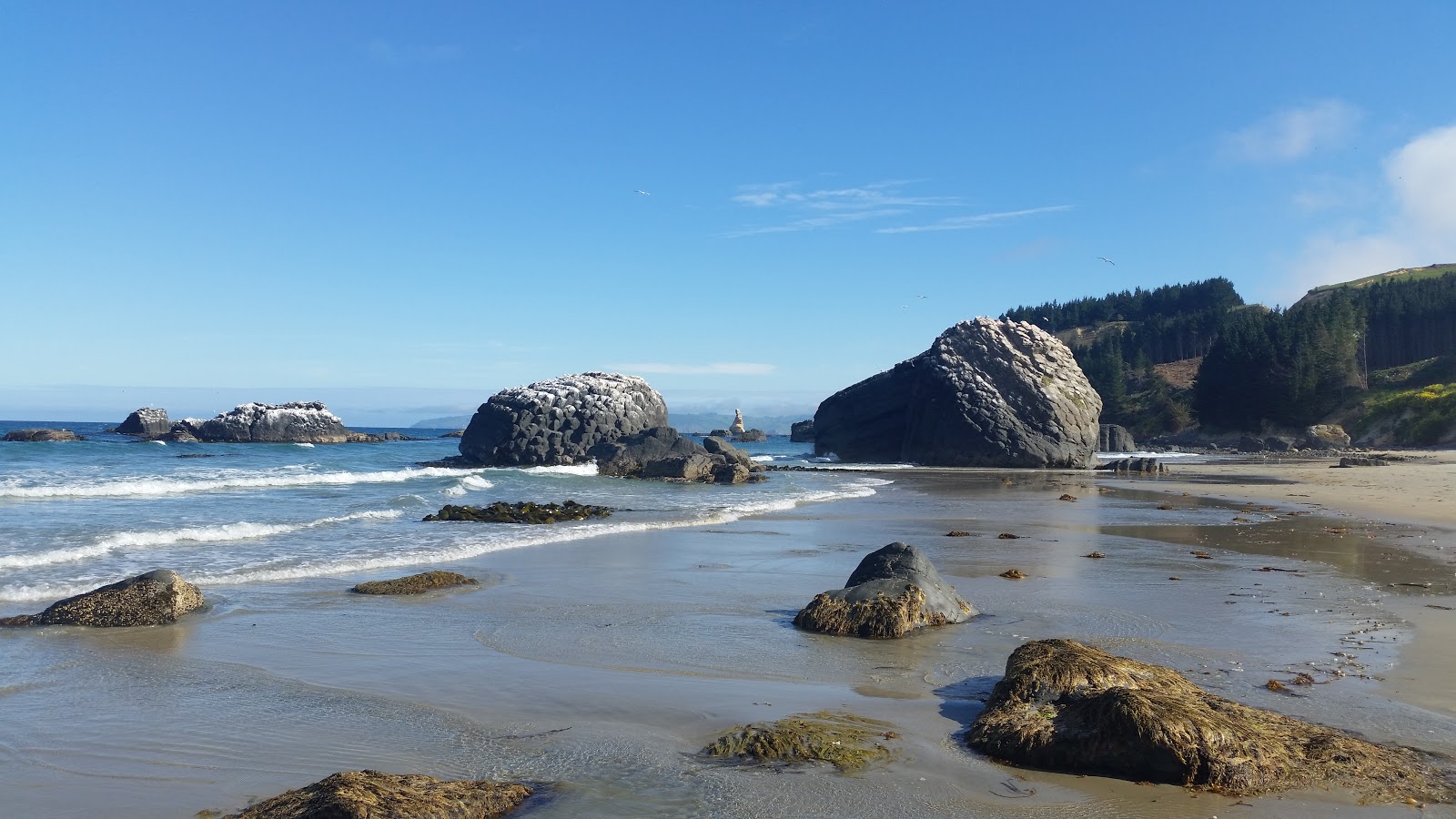 Fotografie cu Karitane Beach zonă sălbatică