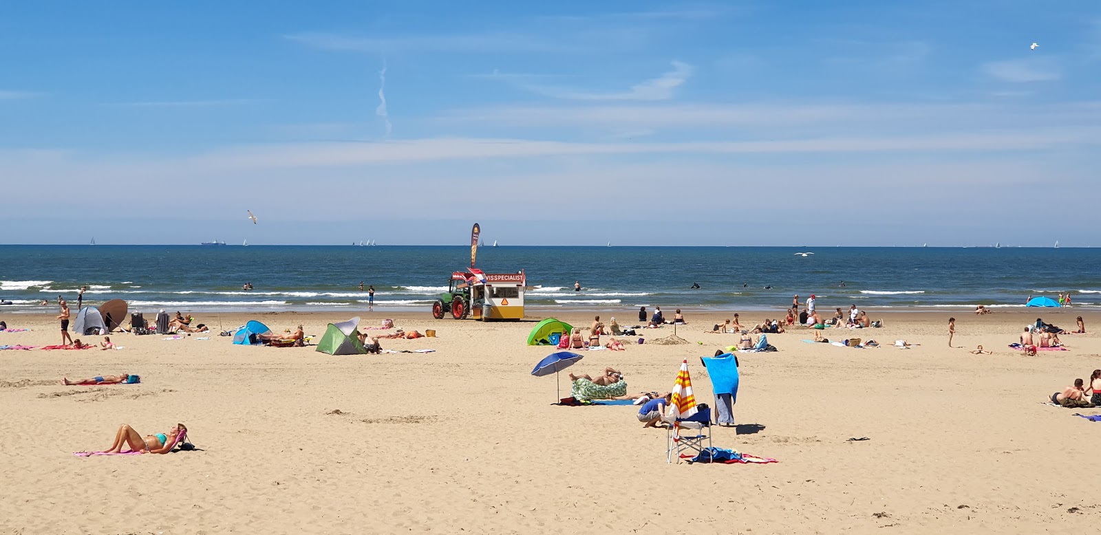 Fotografija Parnassia aan Zee udobje območja