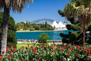 Sydney Private Day Tours image