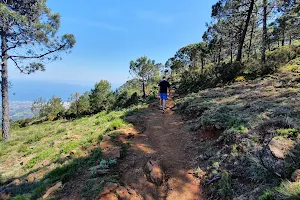 Pico de los Reales de Sierra Bermeja image