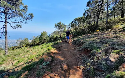 Pico de los Reales de Sierra Bermeja image