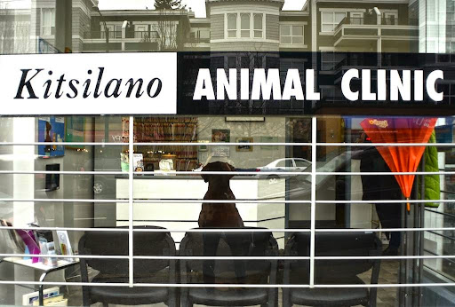 Kitsilano Animal Clinic