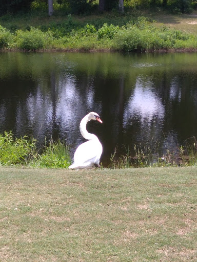 Golf Course «Rapidan Golf Club», reviews and photos, 35448 Somerset Ridge Rd, Locust Grove, VA 22508, USA