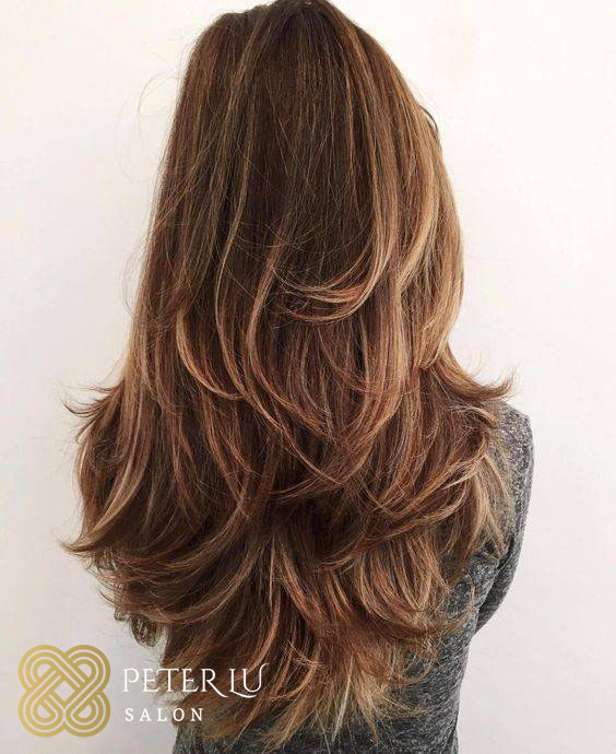 Peter Lu Salon 60660
