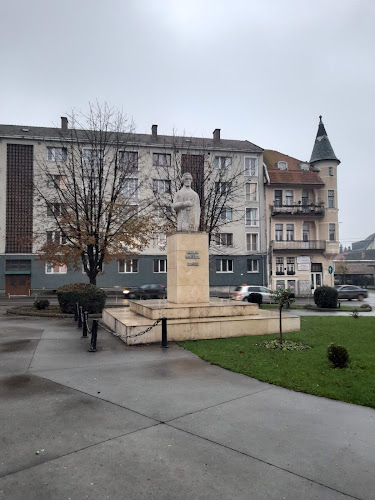 Statuia lui Nicolae Bălcescu - <nil>