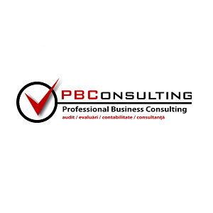 PESCU BUSINESS CONSULTING SRL - <nil>