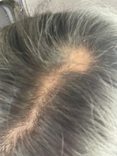 Hair Salon «Hair Cuttery», reviews and photos, 6040 Daybreak Cir Suite 200, Clarksville, MD 21029, USA