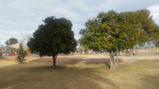 Park «Pierce Park», reviews and photos, 2150 N 46th St, Phoenix, AZ 85008, USA