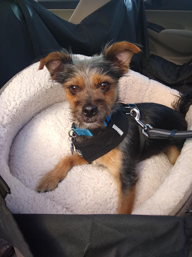 Pet Supply Store «PetSmart», reviews and photos, 5005 S 74th St, Greenfield, WI 53220, USA