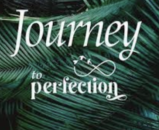 Journey To Perfection