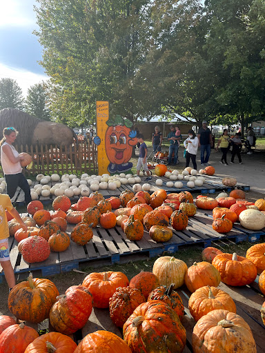 Produce Market «Didier Farms», reviews and photos, 16678 Aptakisic Rd, Lincolnshire, IL 60069, USA