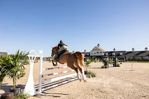 TerraNova Equestrian Center image