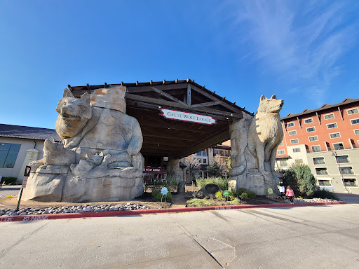 Resort «Great Wolf Lodge», reviews and photos, 100 Great Wolf Dr, Grapevine, TX 76051, USA