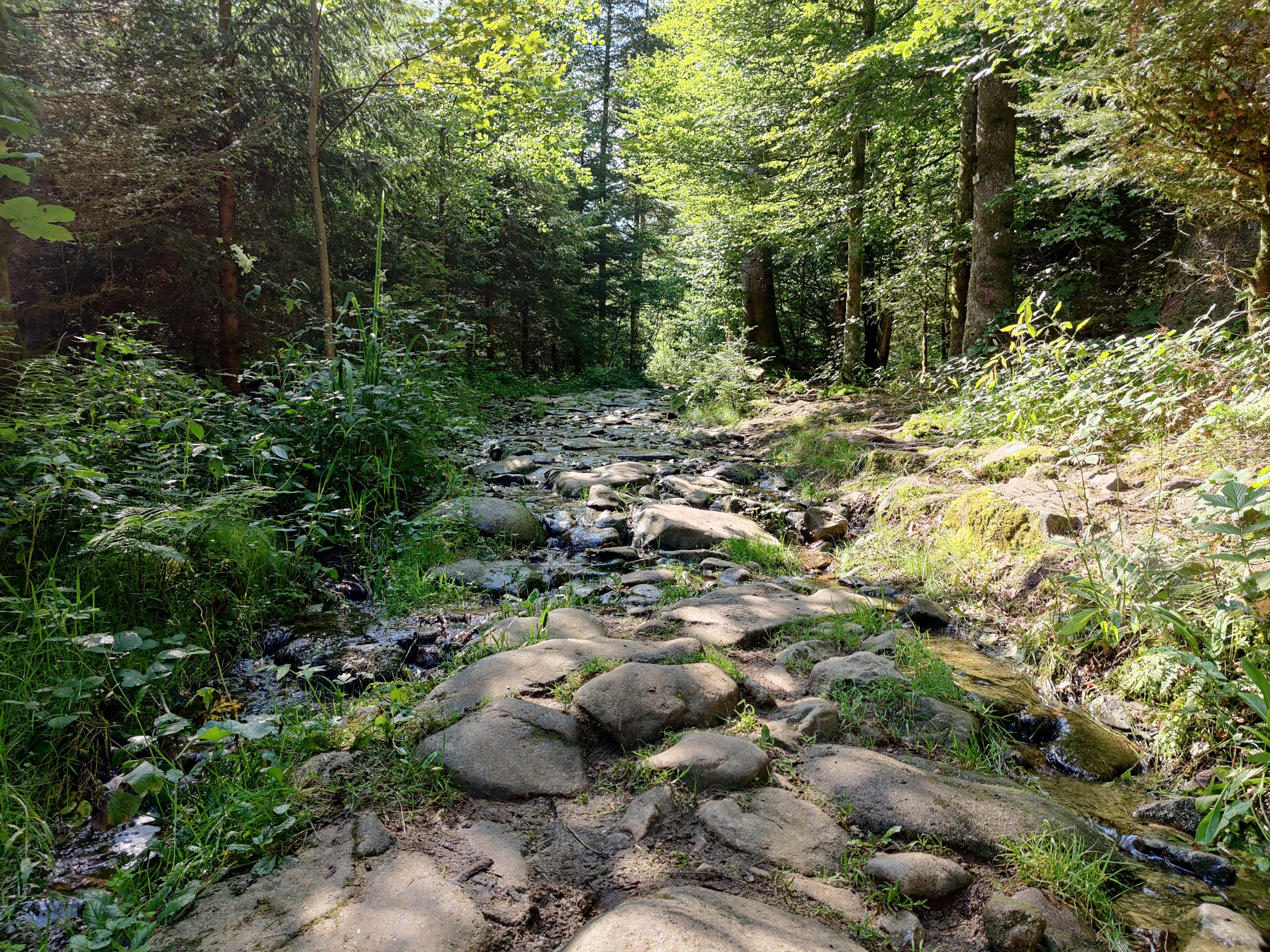 Photo n° 11 de l'avis de Elrique.e fait le 10/08/2021 à 16:54