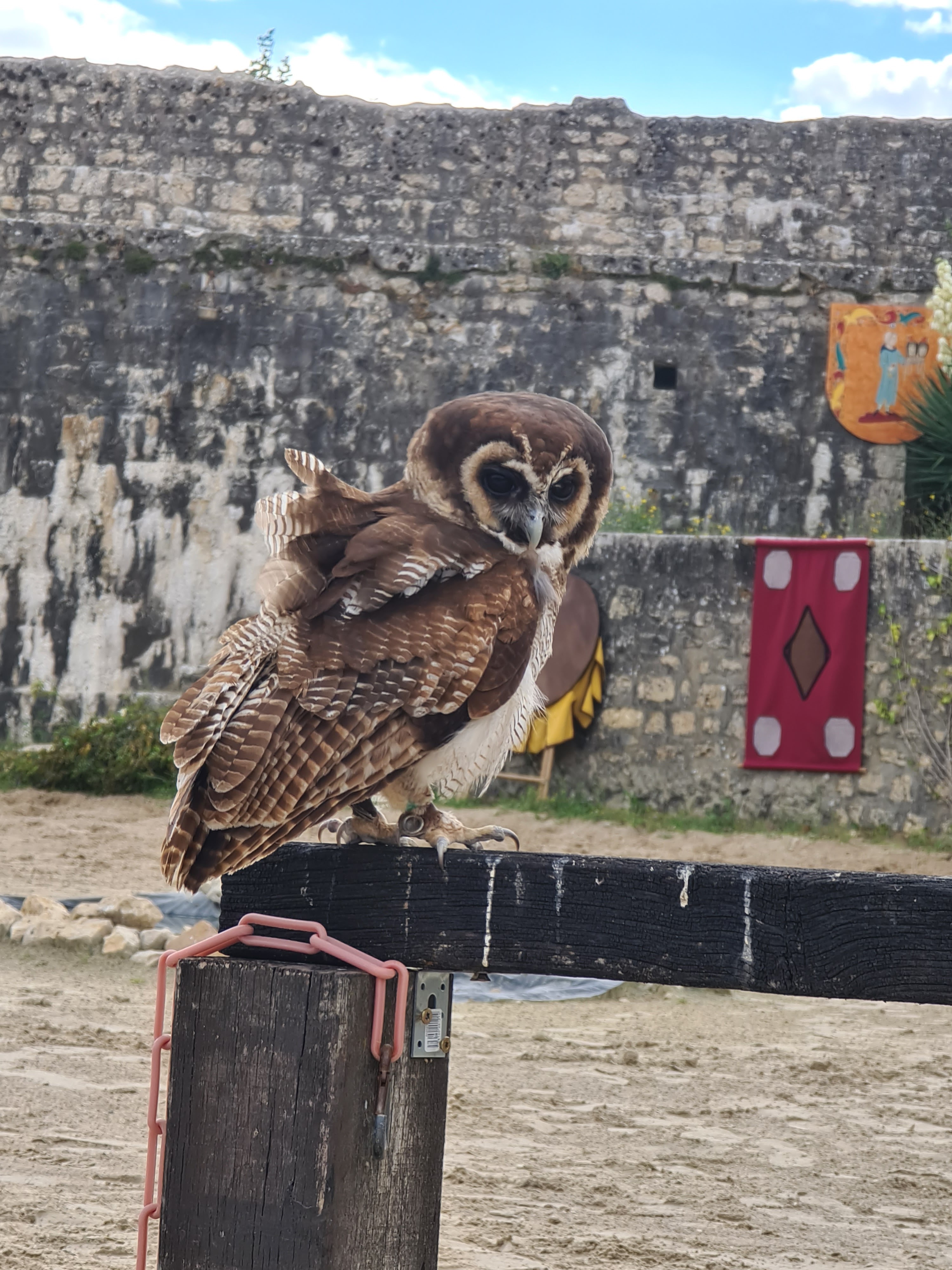Photo n° 3 de l'avis de Brigitte.O fait le 23/08/2020 à 16:49
