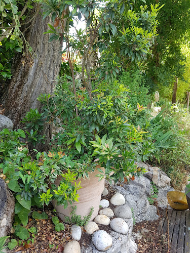 Gîte à la lisière à Mayres