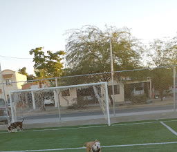 Cancha Lomas de Linda Vista photo