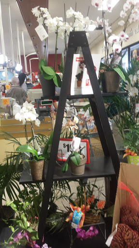 Supermarket «Weis Markets», reviews and photos, 1220 Chestnut St, Emmaus, PA 18049, USA