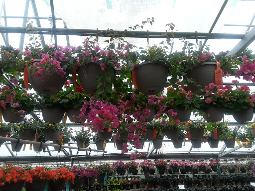Garden Center «H J Benken Florist & Garden», reviews and photos, 6000 Plainfield Rd, Cincinnati, OH 45213, USA