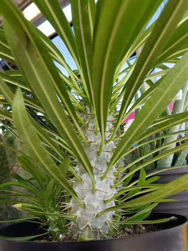 Home Improvement Store «The Home Depot», reviews and photos, 6921 Walton Ln, Gloucester Courthouse, VA 23061, USA