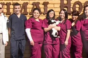 Sunny Hills Veterinary Hospital image