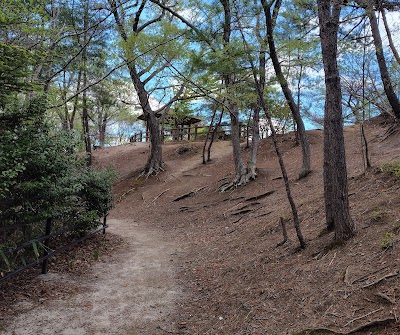 虹の丘公園