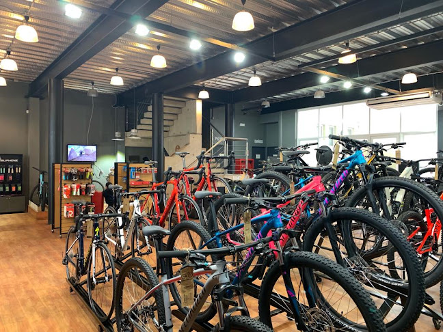Opiniones de Kilometro Cero en Curicó - Tienda de bicicletas