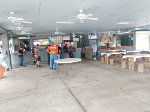 Tourist Attraction «Twister Airboat Rides», reviews and photos, 8199 W King St, Cocoa, FL 32926, USA