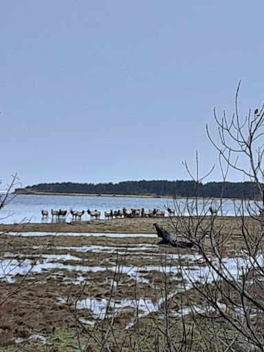 Tourist Attraction «Oregon Film Museum», reviews and photos, 732 Duane St, Astoria, OR 97103, USA
