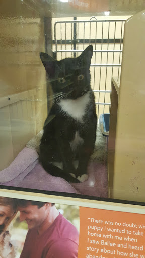 Pet Supply Store «PetSmart», reviews and photos, 100 108th Ave NE, Bellevue, WA 98004, USA