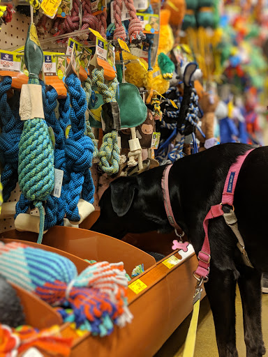 Pet Supply Store «PetSmart», reviews and photos, 5080 Riverside Dr #601, Macon, GA 31210, USA