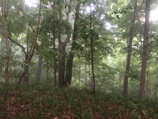 Nature Preserve «Jefferson Memorial Forest», reviews and photos, 11311 Mitchell Hill Rd, Fairdale, KY 40118, USA