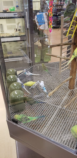 Pet Supply Store «Petco Animal Supplies», reviews and photos, 175 Grandview Blvd #600, Madison, MS 39110, USA