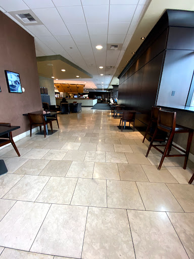 Lexus Dealer «Lexus Of Bellevue», reviews and photos, 101 116th Ave SE, Bellevue, WA 98004, USA