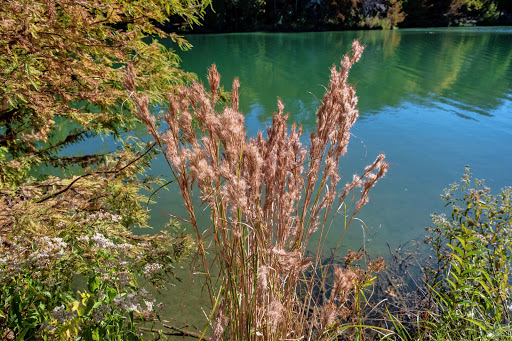 Tourist Attraction «Stonehenge II», reviews and photos, 120 Point Theatre Rd S, Ingram, TX 78025, USA